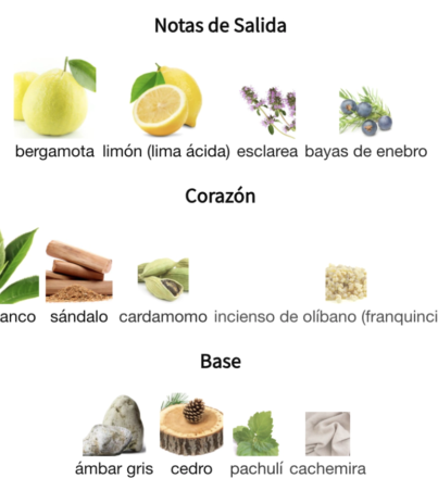 captura-de-pantalla-2024-06-21-a-las-11-09-47a-m-977ede62c54d69fcdb17189791064244-1024-1024