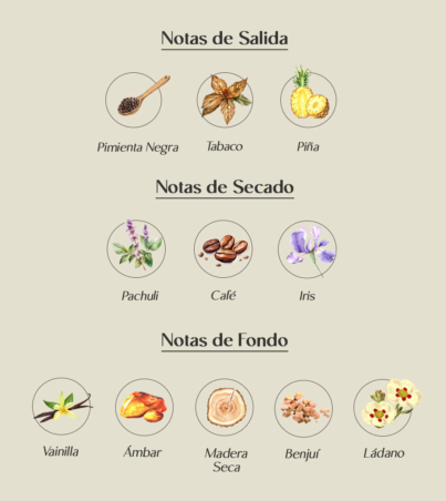 lataffa-asad-394654228fbf1b050717224418220950-1024-1024